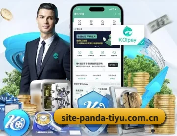 熊猫体育平台 APP 深度功能