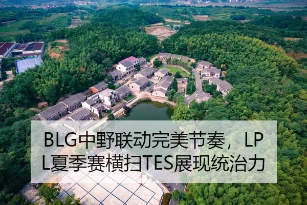 BLG中野联动完美节奏，LPL夏季赛横扫TES展现统治力