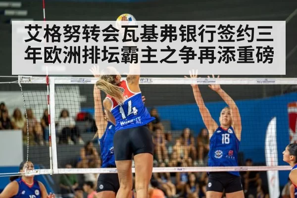 艾格努转会瓦基弗银行签约三年欧洲排坛霸主之争再添重磅